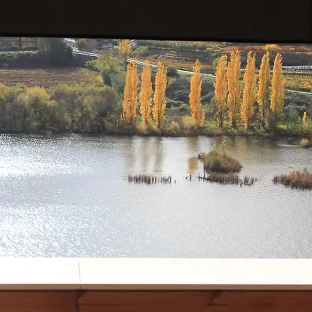 Edesign Douro شقة